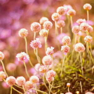 Beauty & Cosmetics Photography